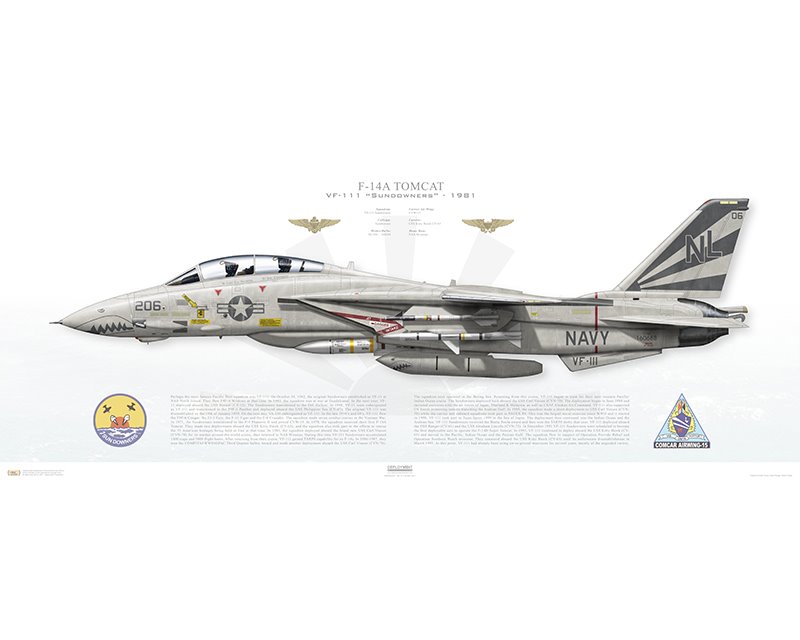 Aircraft Profile Print Of F 14a Tomcat Vf 111 Sundowners Nl206