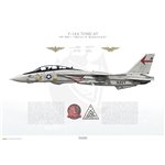 F-14A Tomcat VF-301 Devil's Disciples, ND301 / 158990 - Profile Print