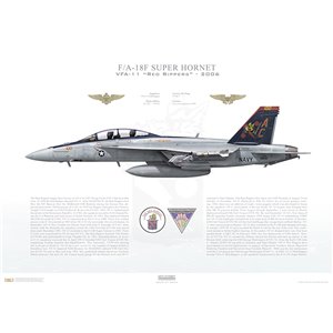 F/A-18F Super Hornet VFA-11 Red Rippers, AC100 / 166632. CVW-3, 2006 Squadron Lithograph