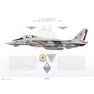 F-14A Tomcat VF-202 Superheats, AF200 / 162710. CVWR-20 - 1993 Squadron Lithograph