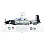 T-6A Texan II 71st FTW, 33rd FTS, VN/06-3766 - Profile Print