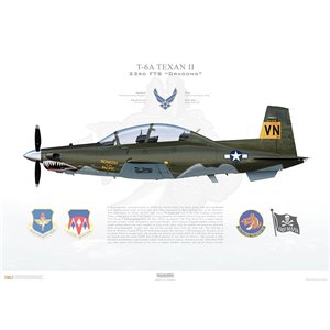 T-6A Texan II 71st FTW, 33rd FTS "Dragons", VN/04-3741 "Pioneers of the Pacific", Vance AFB, OK - Squadron Lithograph