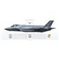 F-35A Lightning II 388th FW, 421st FS "Black Widows", HL/15-5203 / 2019 - Profile Print