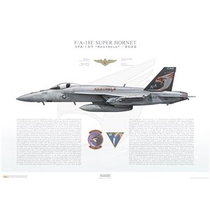 F/A-18E Super Hornet VFA-137 Kestrels, NA300 / 168867. CVW-17, USS Nimitz CVN-68, 2022 Squadron Lithograph