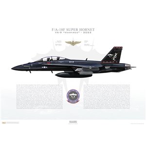 F/A-18F Super Hornet VX-9 Vampires, XE1 / 166673. Naval Air Weapons Station (NAWS) China Lake, CA, 2023 - Squadron Lithograph