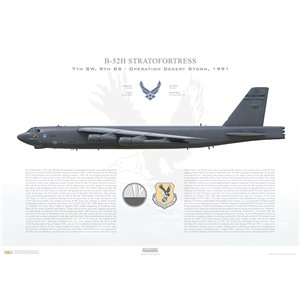 B-52H Stratofortress 7th BW, 9th BS, 60-0009. Carswell AFB, TX - 2009 Squadron Lithograph