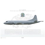 P-3C Orion VP-8 The Fighting Tigers, LC207 / 158207 - Profile Print