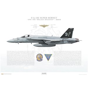 F/A-18E Super Hornet VFA-192 Golden Dragons, NE300 / 169736. CVW-2, USS Carl Vinson CVN-70 - Squadron Lithograph