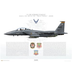 F-15E Strike Eagle 366th Fighter Wing, 391st Fighter Squadron, MO/90-0233 - Mountain Home AFB, ID - 2008 Squadron Lithograph