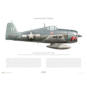 F6F-3 Hellcat, VF-27 "Cat Mouth", 40358, White 17, USS Princetown CVL-23
Squadron Lithograph