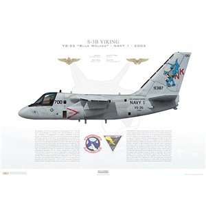 S-3B Viking VS-35 Blue Wolves, NK700 / 159387 - NAVY 1. CVW-14, NAS North Island, 2003 - Squadron Lithograph