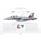 EA-18G Growler VAQ-134 Garudas, NL530 / 168765 / 2024 - Profile Print