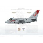 S-3B Viking VS-21 Fighting Redtails, NF701 / 160135 / Last Cruise, 2004 - Profile Print