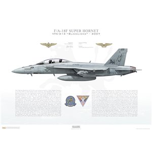 F/A-18F Super Hornet VFA-213 Blacklions, AJ201 / 166674. CVW-8, USS Theodore Roosevelt CVN-71, 2007 Squadron Lithograph