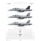The First Rhino Cruise, VFA-11 Red Rippers, 2006-2007 - Profile Print