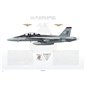 F/A-18F Super Hornet VFA-41 Black Aces, NH100 / 166455 / 2007 - Profile Print
