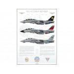 The Last Tomcat Squadron, VF-31 Tomcatters, 1981-2006 - Profile Print