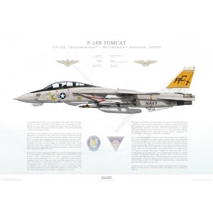 F-14B Tomcat VF-32 Swordsmen, AC112 / 162691 Retirement Scheme. CVW-3, USS Harry S Truman CVN-75, 2005 Squadron Lithograph