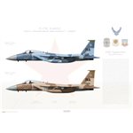 F-15C Eagle 57th Wg, 65th Aggressor Squadron WA 080010 & WA 80-024 - 2007 - Profile Print