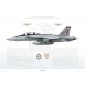 F/A-18F Super Hornet VFA-211 Fighting Checkmates, AB200 / 166805 / 2009 - Profile Print