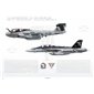 VAQ-141 Shadowhawks Transition, 2010 / EA-6B Prowler - EA-18G Growler - Profile Print
