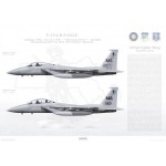 F-15A/B Eagle 102nd FW, 101st FS MA 77-0102 & MA 77-0163 - 2006 - Profile Print