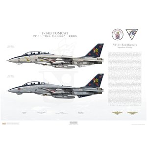 F-14B Tomcat VF-11 Red Rippers, AA100 / 163227 and AA101 / 162912. CVW-17, USS John F. Kennedy CV-67 - Last Cruise 2005
 
Size: Standard - 24 x 16" / 594 x 420mm Squadron Lithograph