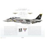 F-14A Tomcat VF-84 Jolly Rogers, AJ200 / 160393 / 1977 - Profile Print