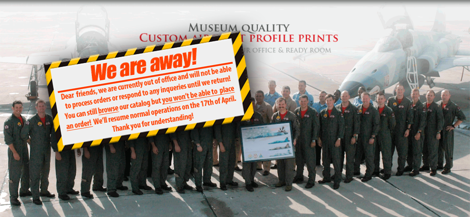 Welcome to AircraftProfilePrints.com™ - Museum Quality Custom Aircraft Profile Prints